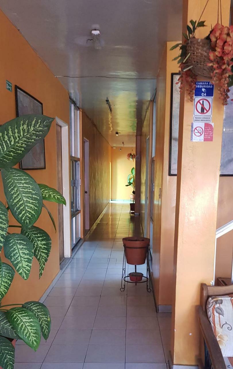 Hotel Don Jesus Aguascalientes Extérieur photo